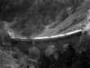 fgc_0347_1.JPG (200190 bytes)
