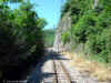 fgc_1235_1.jpg (345951 bytes)