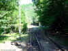 fgc_1228_1.jpg (338385 bytes)