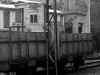 fgc_0263_2.JPG (92089 bytes)