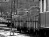 fgc_0433_1.JPG (89755 bytes)