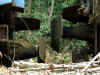 fgc_1367.jpg (152821 bytes)
