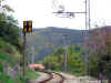 fgc_0825_1.JPG (269035 bytes)